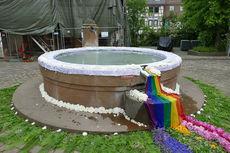 Bluemteppich auf dem Naumburegr Marktplatz (Foto: Karl-Franz Thiede)